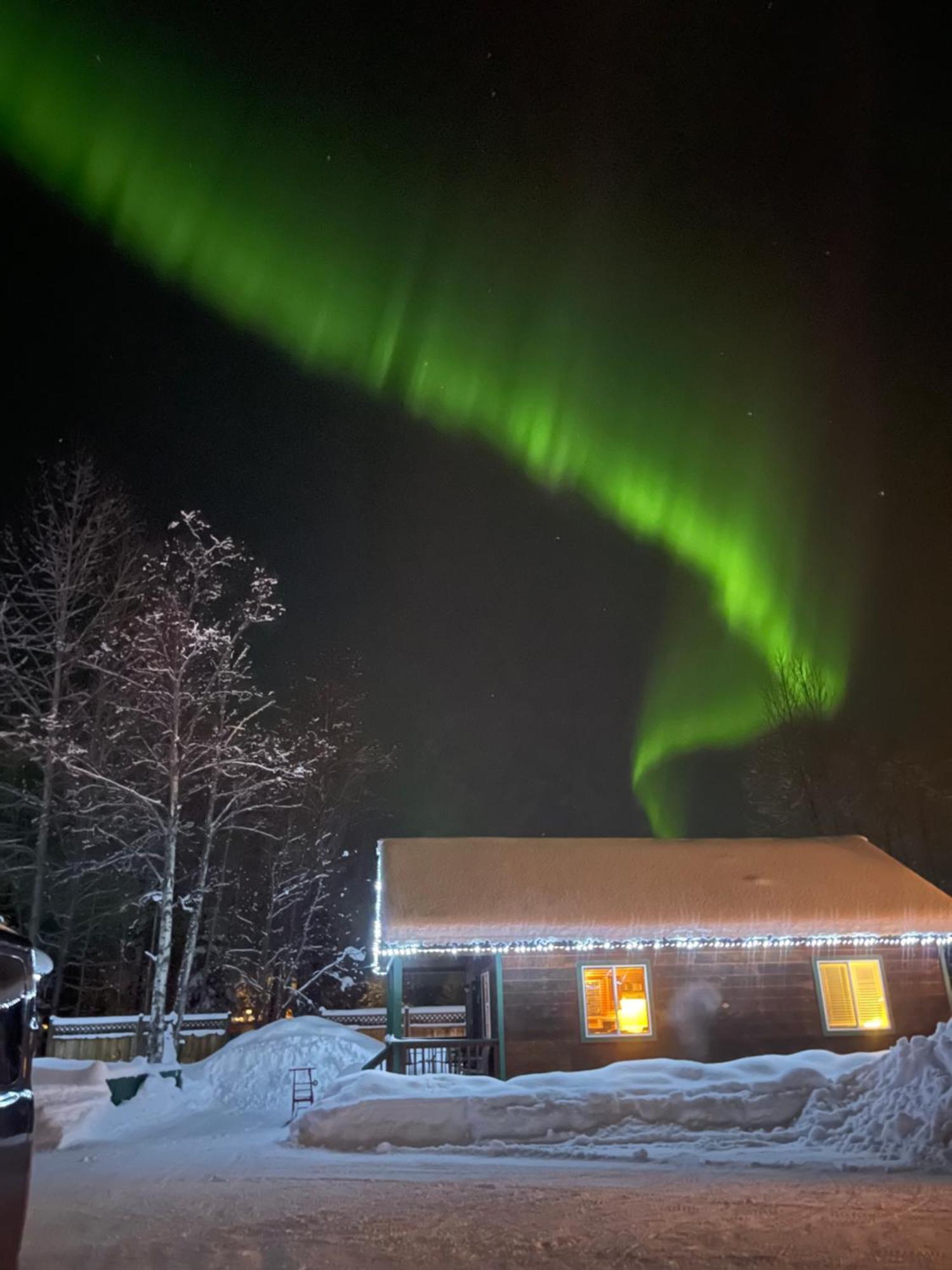 Chinook Wind Cabins Talkeetna Zewnętrze zdjęcie